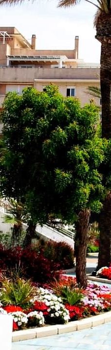 Paseo Maritimo de Estepona-埃斯特波纳