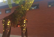 WOW! Children's Museum景点图片