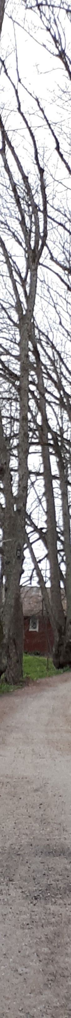 Kuusisto Bishop's Castle-卡里纳