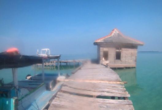 Semak Daun Island景点图片