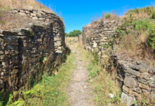 Castro de Castromaoior景点图片