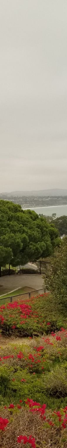 Doris Walker Overlook-达纳点