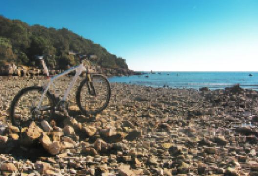 B.R.B. Sport购物图片