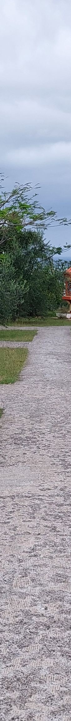 Notre Dame Du Pacifique-阿尔达比勒