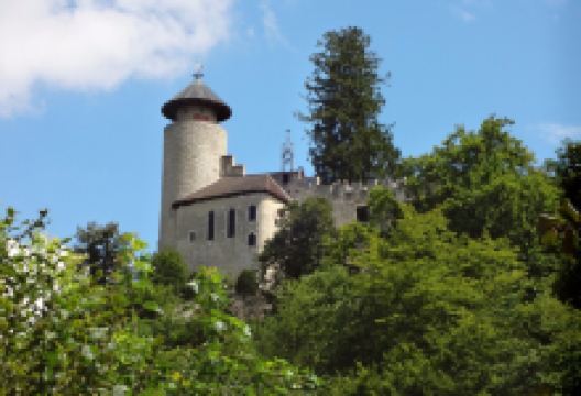 Schloss Birseck景点图片