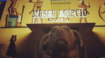 Museu Egípcio Canela
