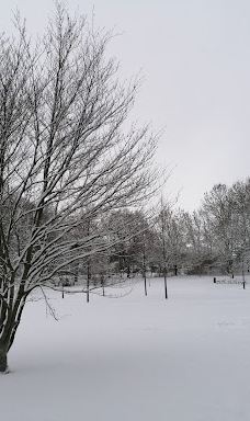 New World Park-茨维考