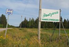 Pantzares Handelsträdgård购物图片