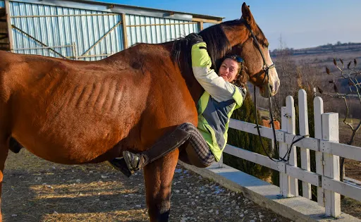 Horse Club Kichevo （Varna）