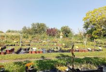 Tuinderij Wagenaar购物图片