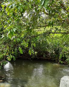 Muruthalawa ginipetti palama-汉班托特