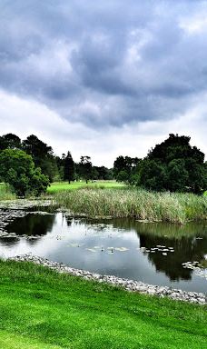 姆邦贝拉地方自治市