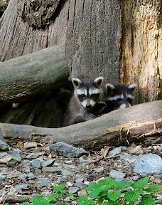 Bilsteintal: Tropfsteinhöhle und Wildpark in Warstein-瓦尔施泰因