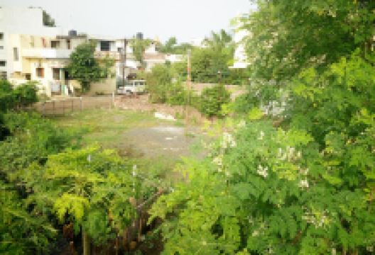 बुद्ध विहार景点图片