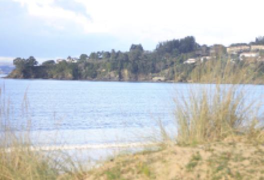 Biblioteca de Miño景点图片