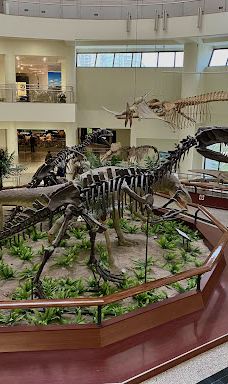 MTA Genel Müdürlüğü Şehit Cuma Dağ Tabiat Tarihi Müzesi-安卡拉