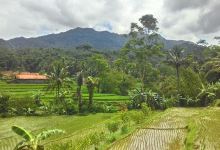 SITUS GUNUNG BITUNG景点图片