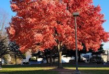 Pleasant View Park景点图片