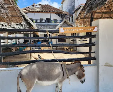 The Donkey Sanctuary