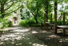 Dunstan's Wood景点图片