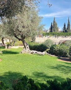 蒙蒂菲奥里风车-耶路撒冷