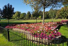 Maurice Lea Memorial Park景点图片