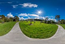Highfield Gardens Reserve景点图片