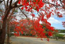Complexe Culturel de Koné景点图片