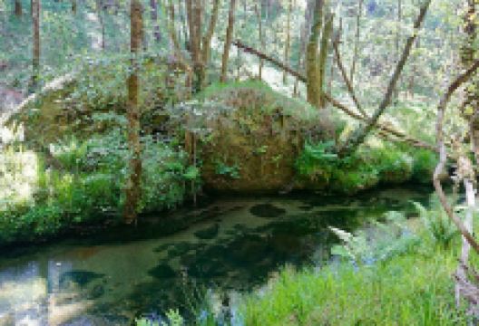 Río Cuberto景点图片