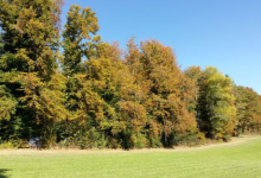 Observatory Naef Épendes景点图片