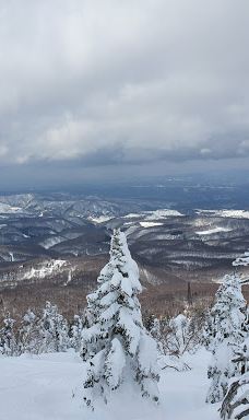 八甲田连峰树冰-青森