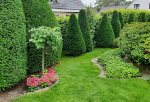 Asmus Service Haus & Garten景点图片