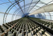 Kathan Gardens and Gifts购物图片