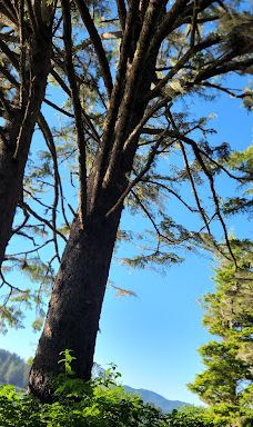 East Devil's Lake State Recreation Area-林肯县