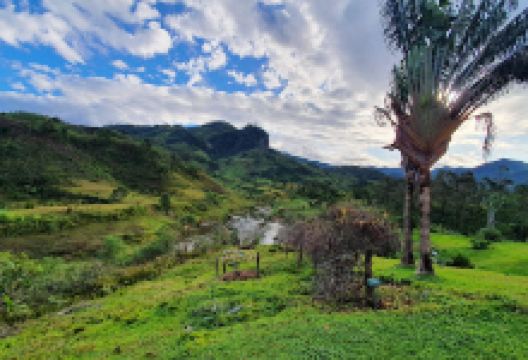 Ramanofana Arboritum景点图片