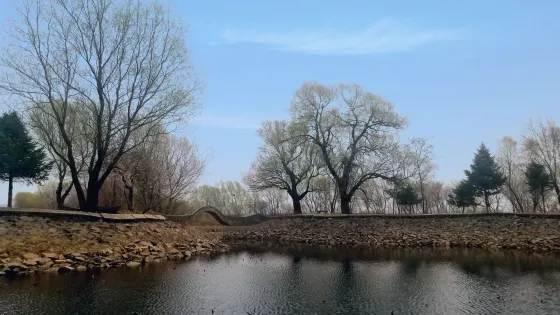 朝陽山生態文化風景區-朝陽寺