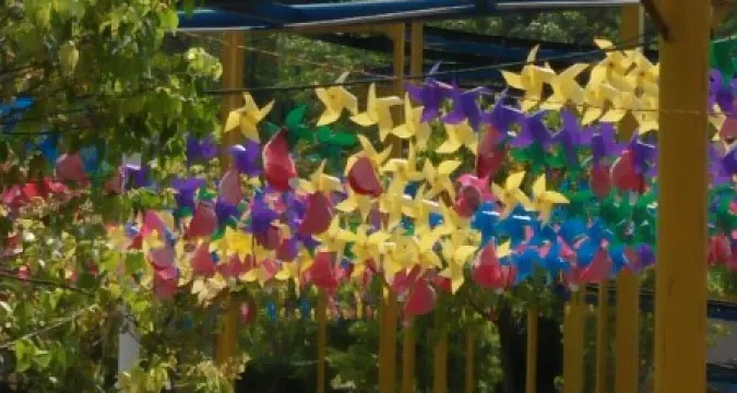 永州市山花爛漫