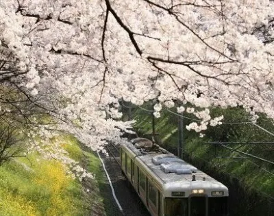 長城第一泉
