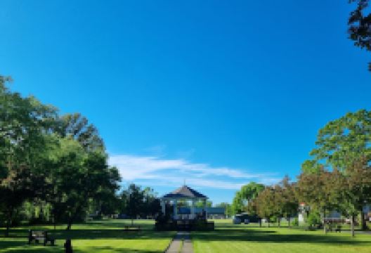 Rainforth Park景点图片