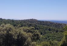 Massif des Cèdres景点图片