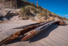 Ross Links, Northumberland景点图片