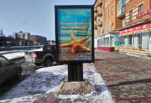 Slantsy Central City Library景点图片