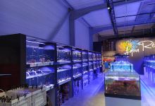 AQUA RECIF景点图片