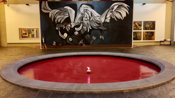 瓜亞薩明博物館
