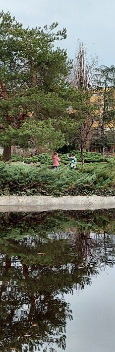 Danube Park-诺维萨德