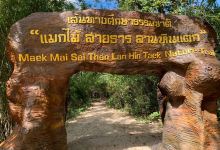 Pha Taem National Park景点图片