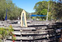 Coffs Harbour Butterfly House景点图片