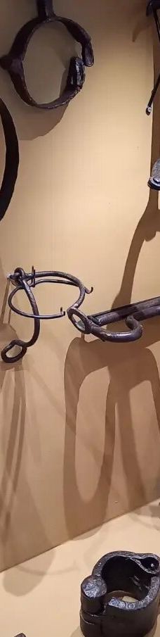 东北部人类博物馆-累西腓