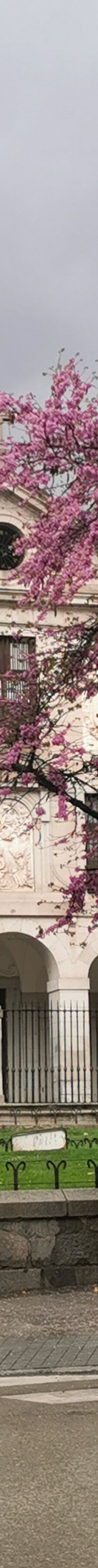 王室化身修道院-马德里