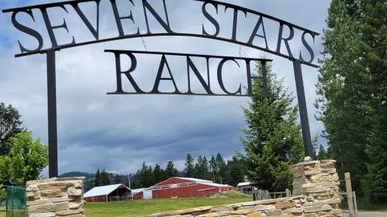 Seven Stars Alpaca Ranch